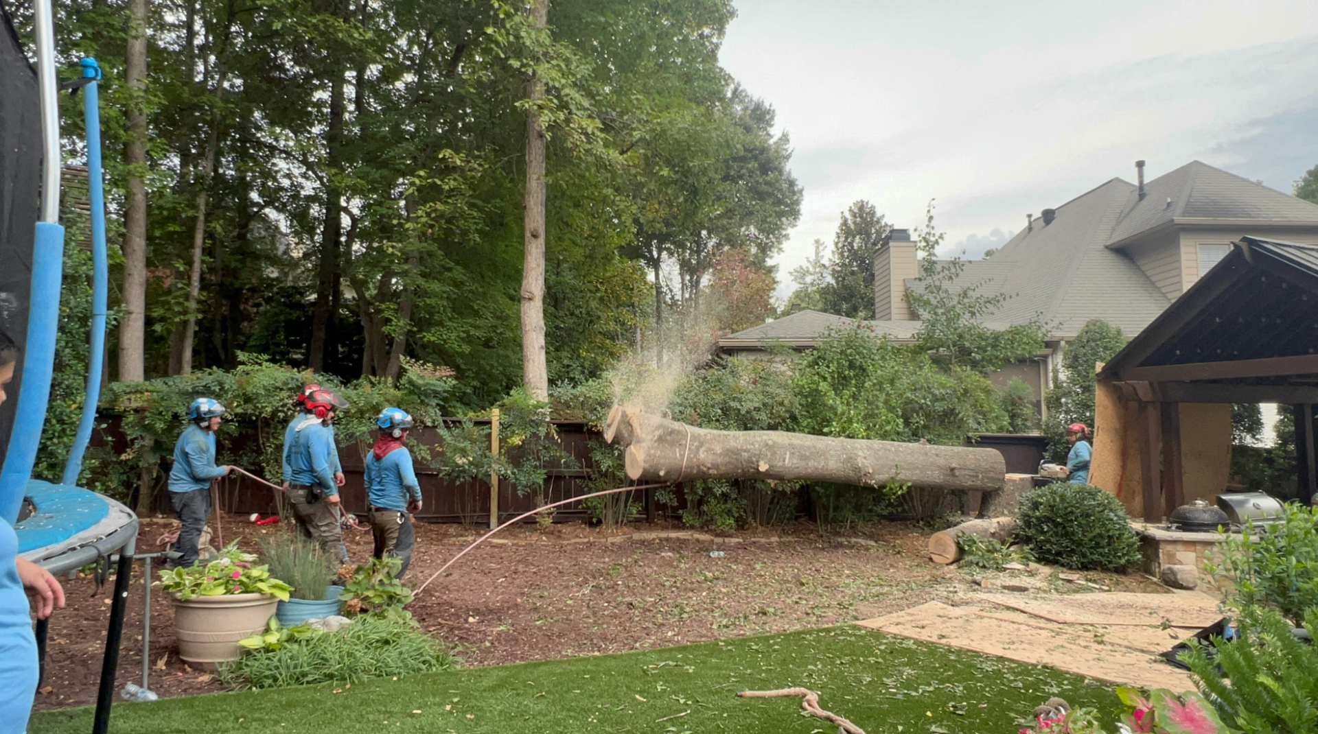 Spruce Arbor Tree Care | Trusted Tree Service in Metro Atlanta